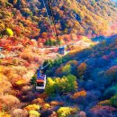 가을단풍-내장산국립공원 이미지