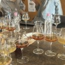 에잇피플 | 자격증 맥주 스타일 서빙 케그관리 Cicerone beerserver 버블케미스트리 에잇피플브루어리 맥주수업 후기