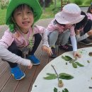 뉴한가람어린이집 이미지