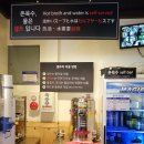 해운대 고메밀면 이미지