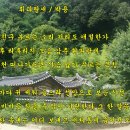 식물의 엽록소 효험 이미지