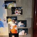 경희대이화체육관 이미지