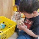 시립당수동어린이집 이미지