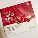 뉴랜드 제주 이미지