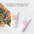레드빈 이미지