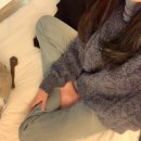 선흘낭 | 겨울 제주도 2박3일 혼자여행