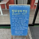 서안농장 | [리뷰] 마하키친, 팔레스타인에서 온 식탁 이야기🍳 - ‘마르쉐 채소시장@성수’ 워크숍 현장 후기