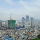 황령산 편백단지 이미지