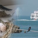 산수휘트니스 이미지