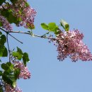 경안여자고등학교 이미지