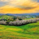 선화목장 이미지