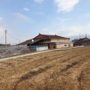 천년와산업 | 🏠 "옥상누수공사, 언제 해야 할까?" 미루면 더 큰돈 듭니다! (천년와산업 후기)