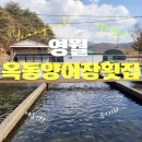 옥동양어장 횟집 이미지