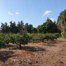 서귀포시노인복지회관 이미지