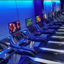 라인업 휘트니스 이미지