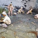 제주해양동물박물관 이미지