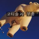 < 8월 5일 > 코티솔과 부종 이미지