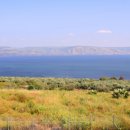 팔복교회 이미지