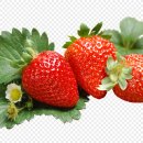 통통한과일 - 창원시 의창구 원이대로189번길 31 | 통통한과일