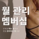 15짐 이미지