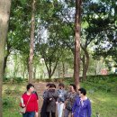 더제주투어