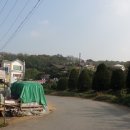 부천상록학교 이미지