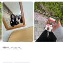 이씨자이크 | 4. 오묘한 계절과 우리