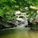 계곡펜션 이미지