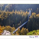 장태산휴양림 이미지