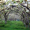 란두리 덕동마을 이미지