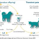 24시큰사랑동물병원 이미지