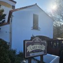 동백팜 | 제주 에코랜드 테마파크 12월 윈터 동백 스토리 다녀온 후기