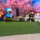 피아크 이미지