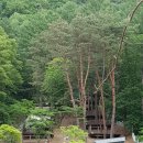문수산 자연휴양림 야영장 이미지