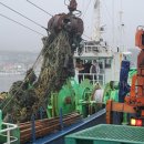 새동해바다 이미지