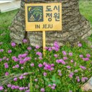 도시정원 이미지