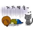 죽전동물병원 이미지