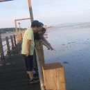 영산대학교 부동산대학원 이미지