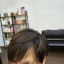 파보헤어 이미지