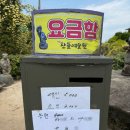 남해 산들예술원 목향장미 실시간후기,개화현황 주차장,입장료
