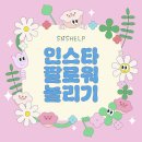 성장 | 인스타 팔로워 늘리기 셀프 성장 후기