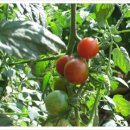 하늘정원펜션 이미지