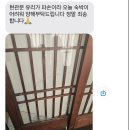 테리구옥 | 군산 1박 2일 뚜벅이 여행 🚅