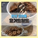 광덕3로4 | [안산 고잔동] 두바이 생초코월드 맛집 후기 | 안산 고잔동 요거트월드