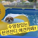 행복하게해줄개