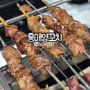홍매꼬치 | 속초 양꼬치 홍매양꼬치 | 속초 먹거리단지 추천 맛집 양꼬치 꿔바로우