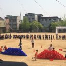 시흥신일초등학교 네이버블로그