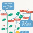 배순농장 이미지