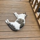 구리토평가족캠핑장 이미지