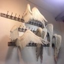 천국세탁소 이미지